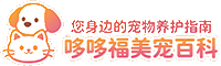 哆哆福美宠百科